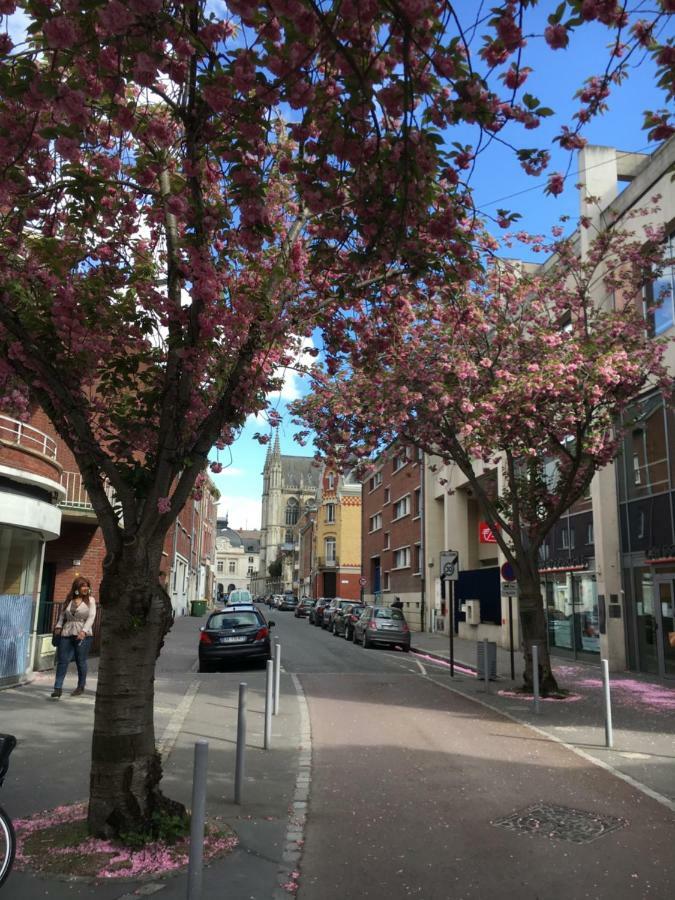 Le Bristol Centre Apartment Amiens